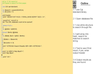 Internet development 27