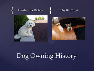 {

Hershey the Bichon

{

Toby the Corgi

Dog Owning History

 