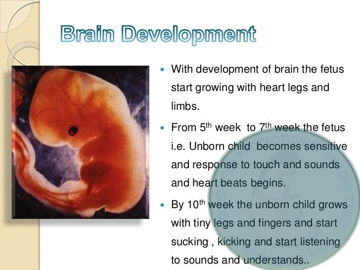 unborn baby dreams
