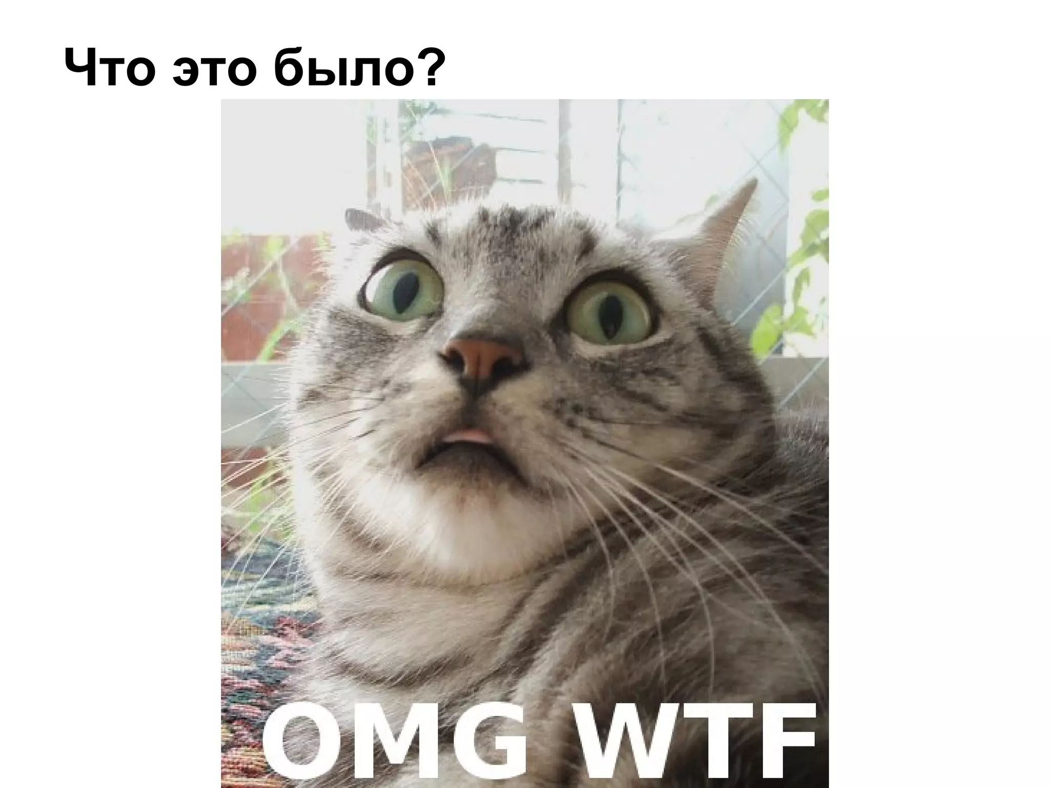 Что это было?
 