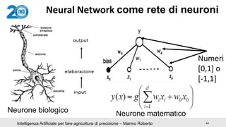 14Intelligenza Artificiale per fare agricoltura di precisione – Marmo Roberto
Neural Network come rete di neuroni
Neurone ...