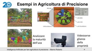 20Intelligenza Artificiale per fare agricoltura di precisione – Marmo Roberto
Esempi in Agricoltura di Precisione
Analizza...