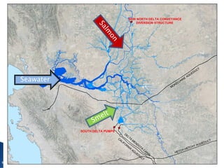 NEW NORTH DELTA CONVEYANCE
DIVERSION STRUCTURE
SOUTH DELTA PUMPS
Seawater
 