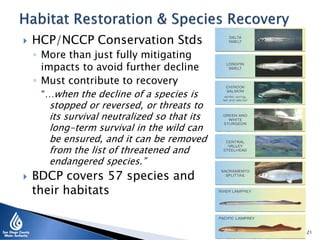  HCP/NCCP Conservation Stds
◦ More than just fully mitigating
impacts to avoid further decline
◦ Must contribute to recovery
“…when the decline of a species is
stopped or reversed, or threats to
its survival neutralized so that its
long-term survival in the wild can
be ensured, and it can be removed
from the list of threatened and
endangered species.”
 BDCP covers 57 species and
their habitats
21
 