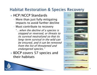 

HCP/NCCP Standards

◦ More than just fully mitigating
impacts to avoid further decline
◦ Must contribute to recovery
“…when the decline of a species is
stopped or reversed, or threats to
its survival neutralized so that its
long-term survival in the wild can
be ensured, and it can be removed
from the list of threatened and
endangered species.”



BDCP covers 57 species and
their habitats

8

 