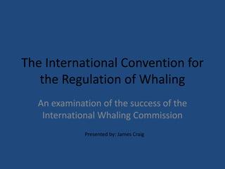 The International Convention for
the Regulation of Whaling
An examination of the success of the
International Whaling Commission
Presented by: James Craig
 