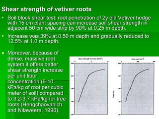 Shear strength of vetiver roots
§ Soil block shear test: root penetration of 2y old Vetiver hedge
with 15 cm plant spacing can increase soil shear strength in
adjacent 50 cm wide strip by 90% at 0.25 m depth.
§ Increase was 39% at 0.50 m depth and gradually reduced to
12.5% at 1.0 m depth.
n Moreover, because of
dense, massive root
system it offers better
shear strength increase
per unit fiber
concentration (6-10
kPa/kg of root per cubic
meter of soil) compared
to 3.2-3.7 kPa/kg for tree
roots (Hengchaovanich
and Nilaweera, 1996).
 
