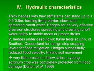 § Thick hedges with their stiff stems can stand up to >
0.6-0.8m, forming living barrier, slows and
spreading runoff water. Hedges act as very effective
diversion structures spreading and diverting runoff
water safely to stable areas or proper drains
§ V. hedges under deep flows: flume tests at Univ. of
Southern Queensland for design strip cropping
layout for flood mitigation. Hedges successfully
reduced flood velocity, limiting soil movement
à very little erosion in fallow strips, a young
sorghum crop was completely protected from flood
damage (Dalton et al, 1996)
IV. Hydraulic characteristics
 