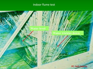 Water level
Water trickles down
Indoor flume test
PC: Seth Dabney
 