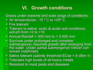 Grows under extreme and wide range of conditions:
§ Air temperatures: -15 º C to >55º C
§ Fire tolerant
§ Tolerant to saline, sodic & acidic soil conditions;
soil pH from <3 to >10
§ Annual Rainfall < 300 mm to > 5,000 mm
§ Survives under prolonged and complete
submergence; resumes growth after emerging from
the water. Under partial submergence Vetiver can
remain indefinitely
§ Saline tolerant (salinity threshold ECse = 8 dSm-1)
§ Tolerates high levels of all heavy metals
§ Resistant to most pests and diseases
VI. Growth conditions
 