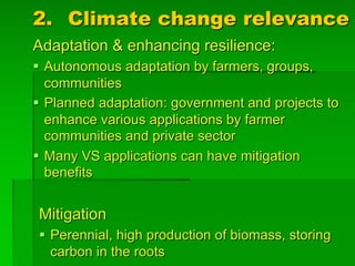 Adaptation & enhancing resilience:
§ Autonomous adaptation by farmers, groups,
communities
§ Planned adaptation: government and projects to
enhance various applications by farmer
communities and private sector
§ Many VS applications can have mitigation
benefits
Mitigation
§ Perennial, high production of biomass, storing
carbon in the roots
2. Climate change relevance
 