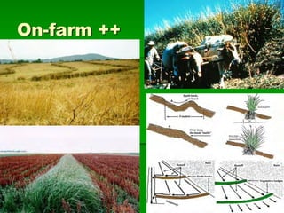 On-farm ++
 