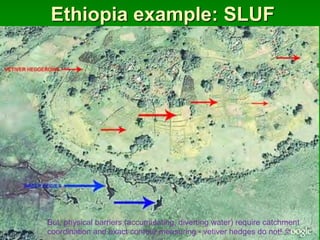 Ethiopia example: SLUF
But, physical barriers (accumulating, diverting water) require catchment
coordination and exact contour measuring - vetiver hedges do not! J
 