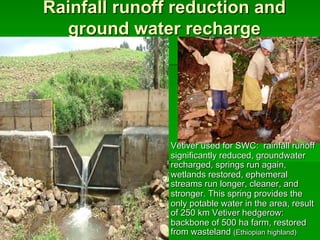 Rainfall runoff reduction and
ground water recharge
Vetiver used for SWC: rainfall runoff
significantly reduced, groundwater
recharged, springs run again,
wetlands restored, ephemeral
streams run longer, cleaner, and
stronger. This spring provides the
only potable water in the area, result
of 250 km Vetiver hedgerow:
backbone of 500 ha farm, restored
from wasteland (Ethiopian highland)
 