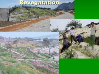 Revegatation
 