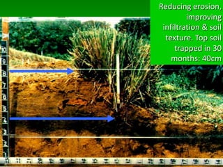 Reducing erosion,
improving
infiltration & soil
texture. Top soil
trapped in 30
months: 40cm
 
