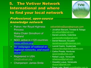 Home - The Vetiver Network International