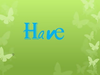Have