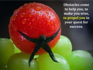 Obstacles come
to help you, to
make you wise,
to propel you in
your quest for
success.

 