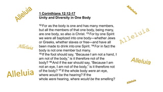 1 Corinthians 12:12-17
Unity and Diversity in One Body
12 For as the body is one and has many members,
but all the members of that one body, being many,
are one body, so also is Christ. 13 For by one Spirit
we were all baptized into one body—whether Jews
or Greeks, whether slaves or free—and have all
been made to drink into one Spirit. 14 For in fact the
body is not one member but many.
15 If the foot should say, “Because I am not a hand, I
am not of the body,” is it therefore not of the
body? 16 And if the ear should say, “Because I am
not an eye, I am not of the body,” is it therefore not
of the body? 17 If the whole body were an eye,
where would be the hearing? If the
whole were hearing, where would be the smelling?
 