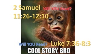 2 Samuel
11:26-12:10
Luke 7:36-8:3
 
