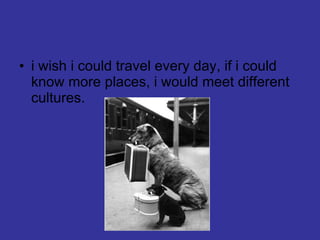 i wish i could travel every day, if i could know more places, i would meet different cultures. 