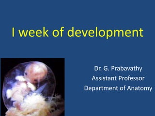 I week of development
Dr. G. Prabavathy
Assistant Professor
Department of Anatomy
 