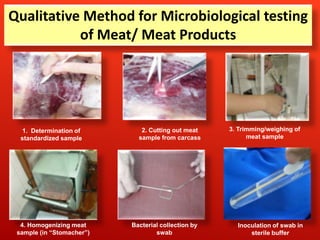 MEAT_MICROBIOLOGY.pptx