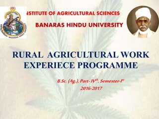 INSTITUTE OF AGRICULTURAL SCIENCES
BANARAS HINDU UNIVERSITY
RURAL AGRICULTURAL WORK
EXPERIECE PROGRAMME
B.Sc.(Ag.),Part- IVth,Semester-Ist
2016-2017
 