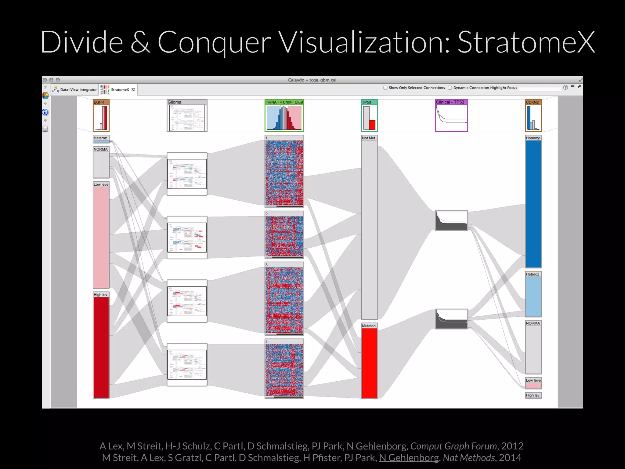 A Lex, M Streit, H-J Schulz, C Partl, D Schmalstieg, PJ Park, N Gehlenborg, Comput Graph Forum, 2012
M Streit, A Lex, S Gratzl, C Partl, D Schmalstieg, H Pﬁster, PJ Park, N Gehlenborg, Nat Methods, 2014
Divide & Conquer Visualization: StratomeX
 