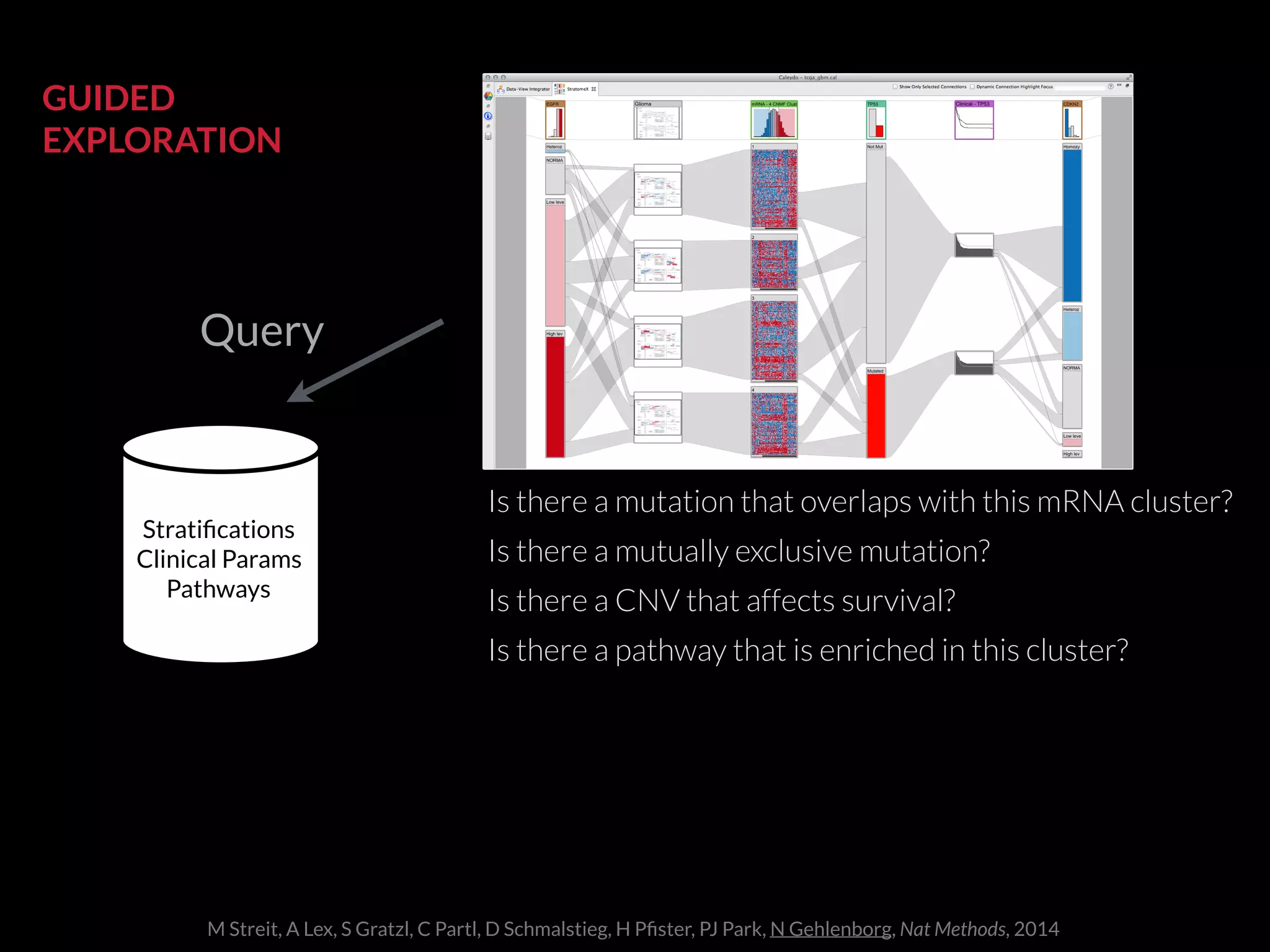 Is there a mutation that overlaps with this mRNA cluster?
Is there a CNV that affects survival?
Is there a pathway that is enriched in this cluster?
Is there a mutually exclusive mutation?
Query
Stratiﬁcations
Clinical Params
Pathways
GUIDED
EXPLORATION
M Streit, A Lex, S Gratzl, C Partl, D Schmalstieg, H Pﬁster, PJ Park, N Gehlenborg, Nat Methods, 2014
 