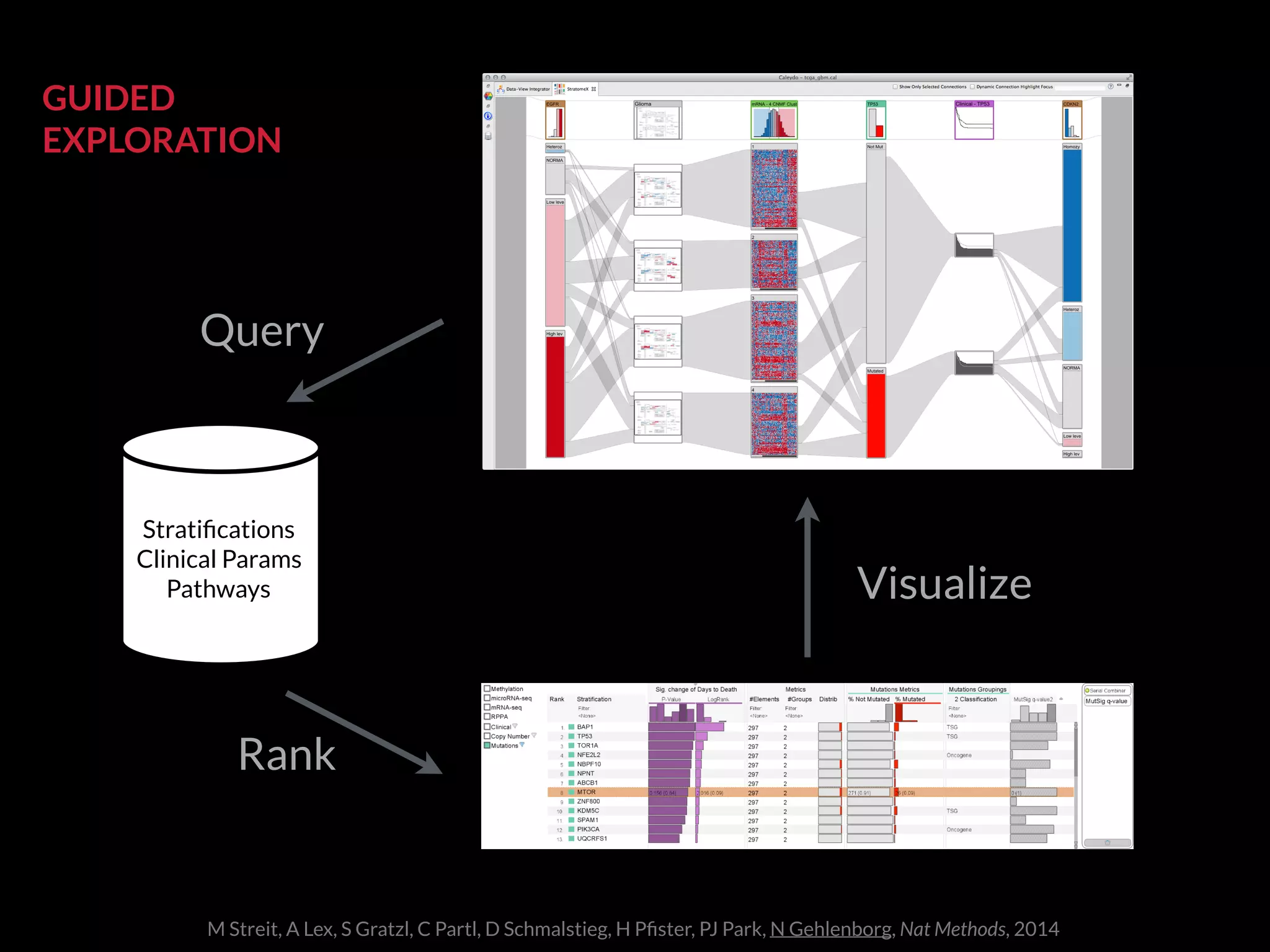 Query
Rank
Visualize
Stratiﬁcations
Clinical Params
Pathways
GUIDED
EXPLORATION
M Streit, A Lex, S Gratzl, C Partl, D Schmalstieg, H Pﬁster, PJ Park, N Gehlenborg, Nat Methods, 2014
 