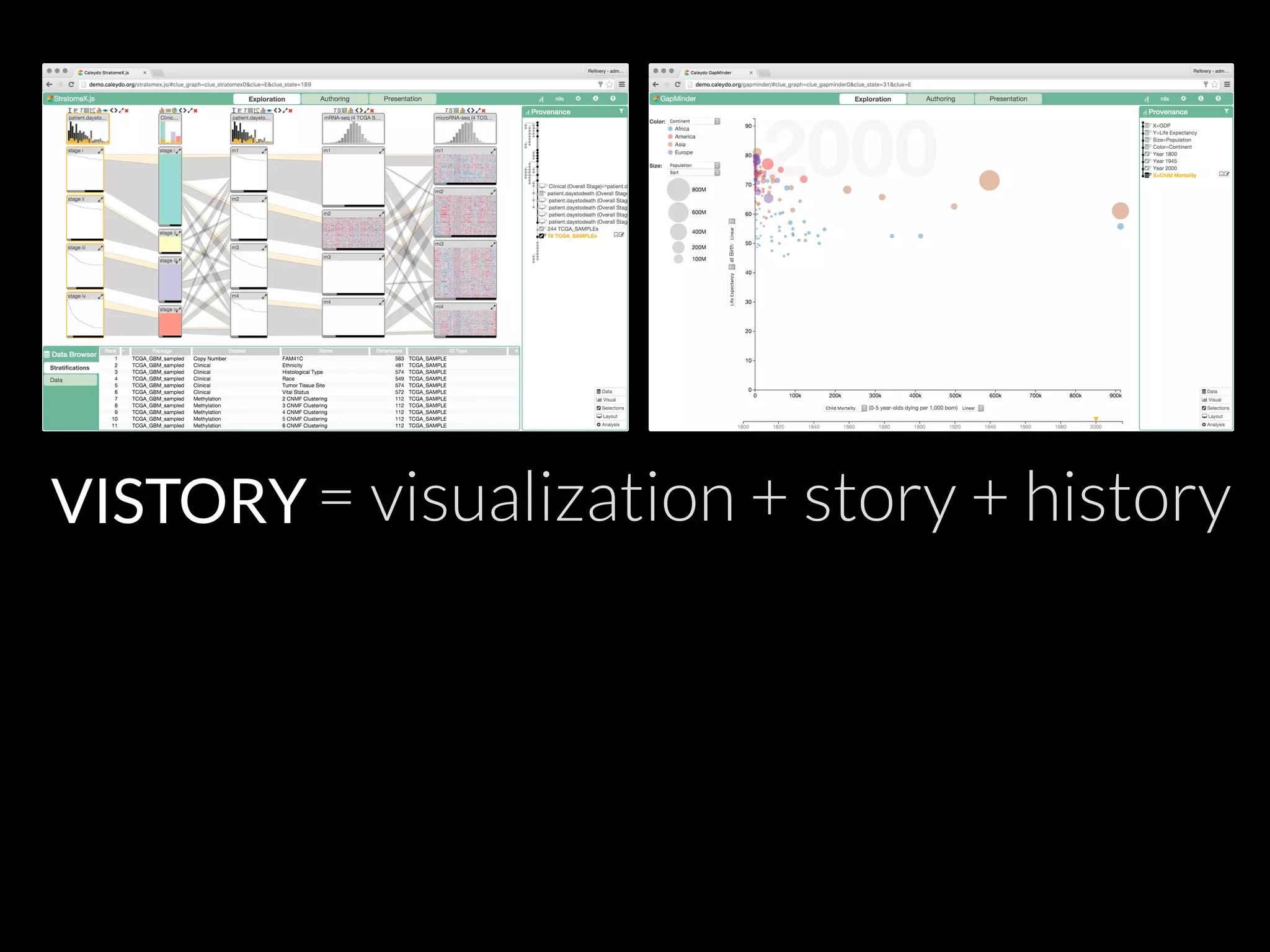 VISTORY = visualization + story + history
 