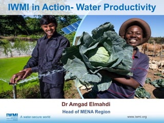 IWMI in Action- Water Productivity
Dr Amgad Elmahdi
Head of MENA Region
 