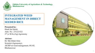Integrated weed management in direct seeded rice | PDF