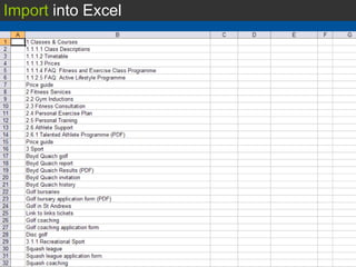 Import  into Excel 