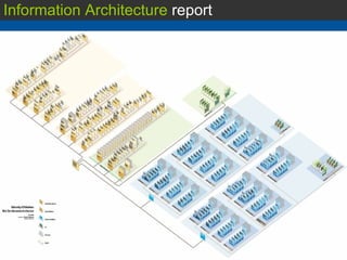 Information Architecture  report 