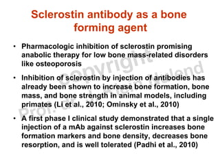 Osteocytes: clinical relevance | PDF