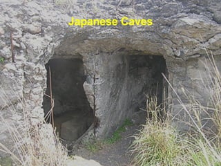 Japanese Caves 
