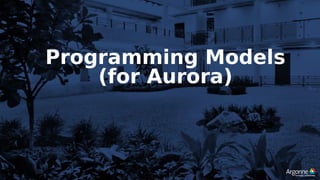 Programming Models
(for Aurora)
 