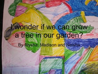 I wonder if we can grow a tree in our garden? By Alysha, Madison and Neisha 