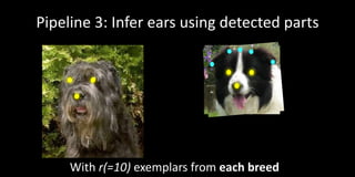 Dog Breed Classification Using Part Localization | PPTX