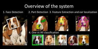 Overview of the system
1. Face Detection    2. Part Detection 3. Feature Extraction and ear localization




                     4. One vs All classification
 