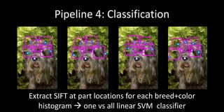 Pipeline 4: Classification




Extract SIFT at part locations for each breed+color
   histogram  one vs all linear SVM classifier
 