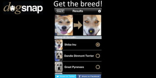 Get the breed!
 