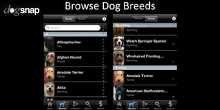 Browse Dog Breeds
 
