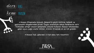 Story Okulu - Rakı Nedir? | PDF
