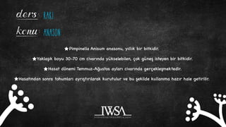 Story Okulu - Rakı Nedir? | PDF