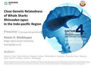Close genetic relatedness of whale sharks, Rhincodon typus in the Indo-Pacific region