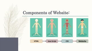 Components of Website:
HTML WebsiteCSSJava Script
 
